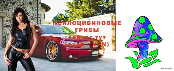 соль курить ск Приозерск