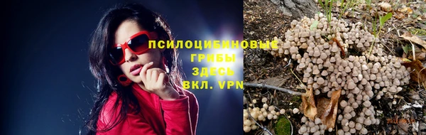 мескалин Протвино