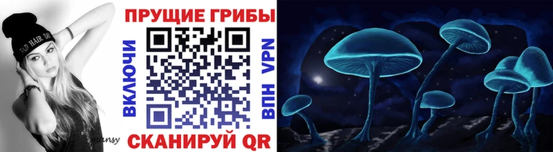 Псилоцибиновые грибы ЛСД сколько стоит Северо-Курильск